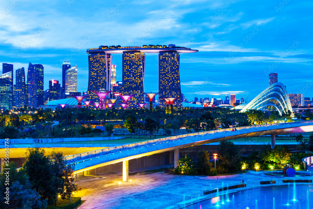 Fototapeta premium Singapore night