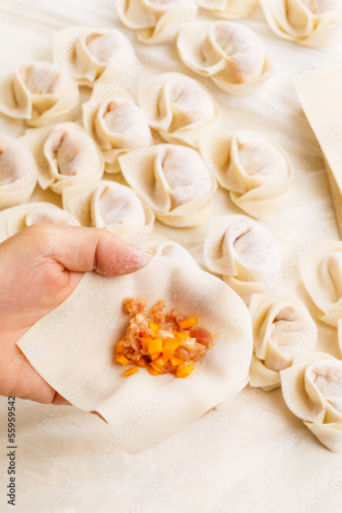 Making of Chinese dumpling Making of Chinese dumpling