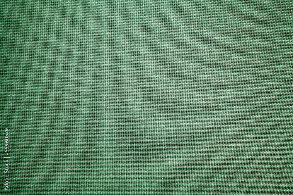 Abstract  green background (canvas)