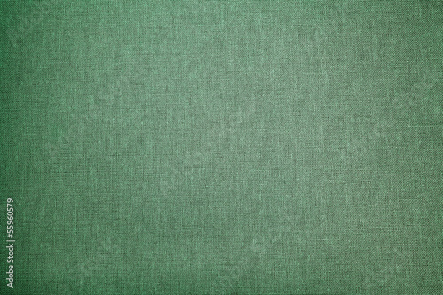 Abstract green background (canvas)