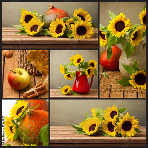 Fototapeta Naklejka Na Ścianę i Meble -  Collage of autumn  photos with sunflowers and pumpkin
