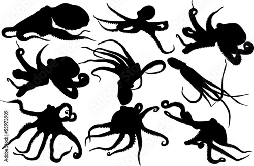 octopus silhouette