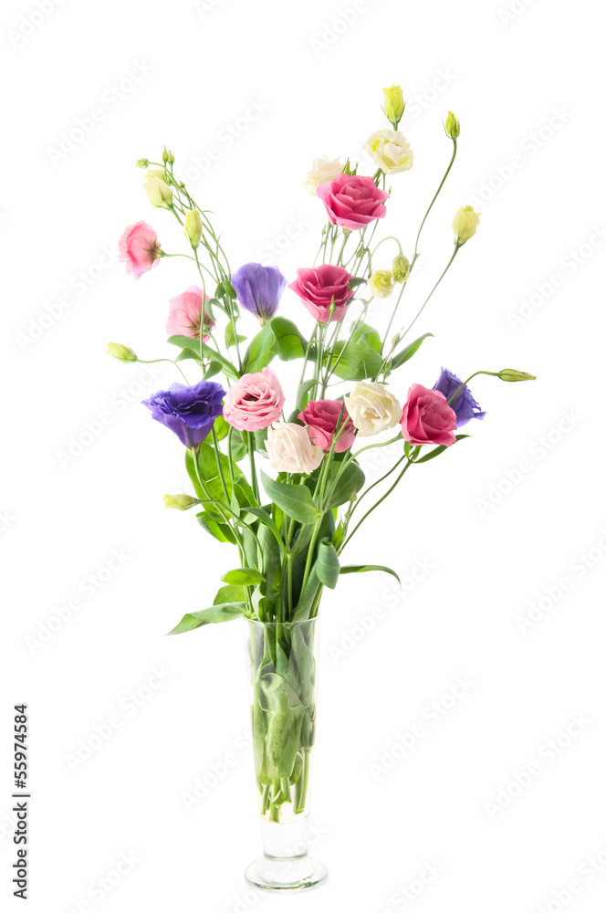 Beautiful flowers Beautiful flowers