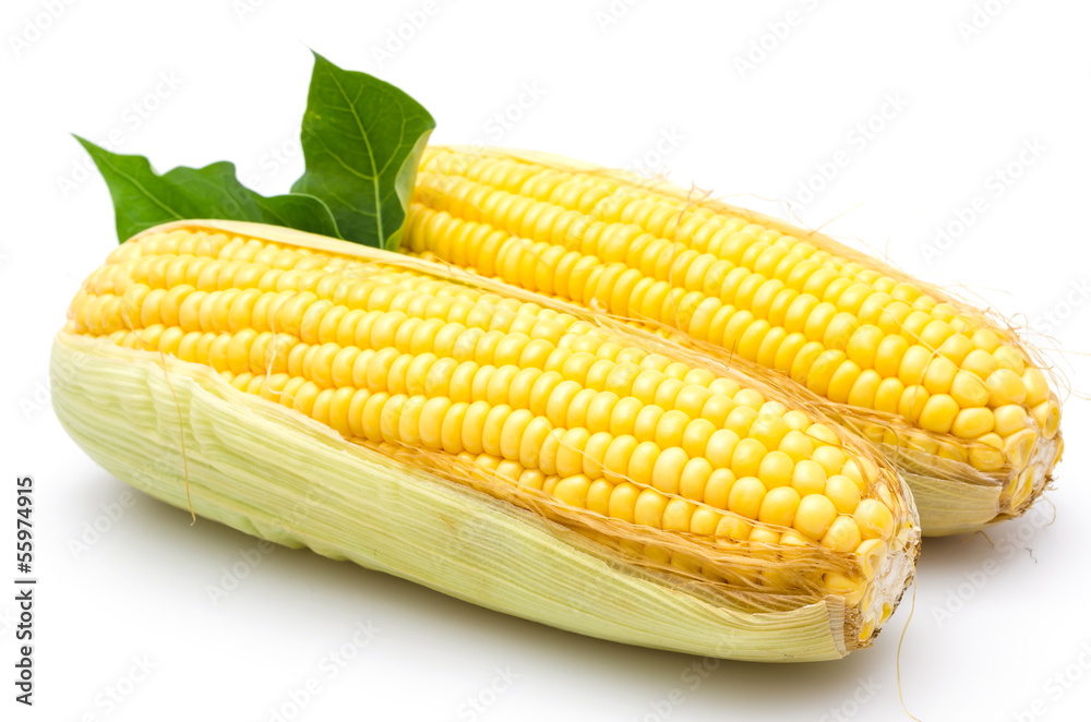 Corn Corn