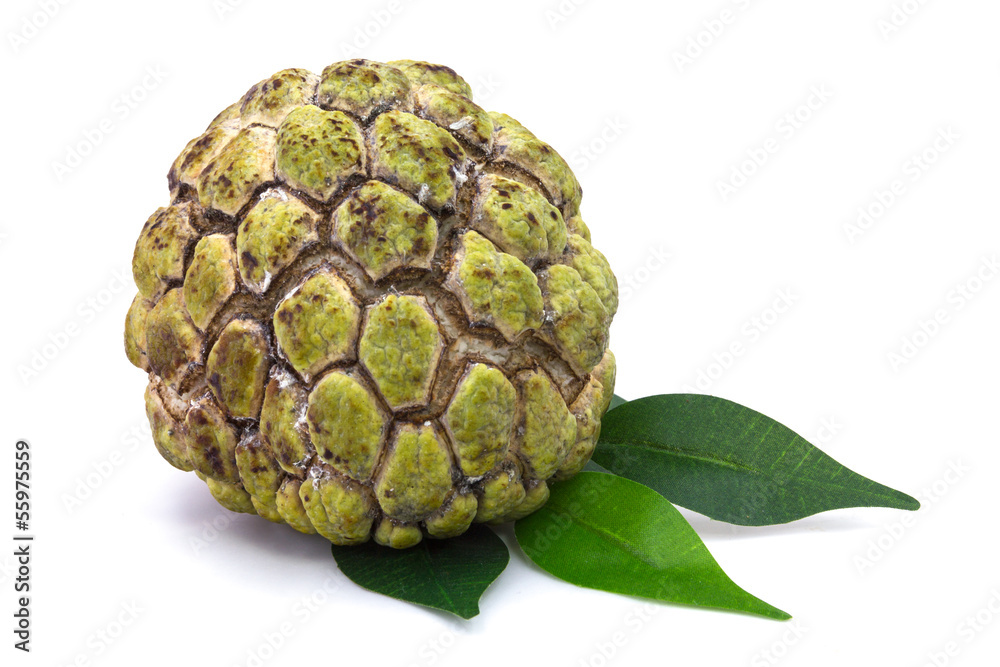 Custard apple Custard apple