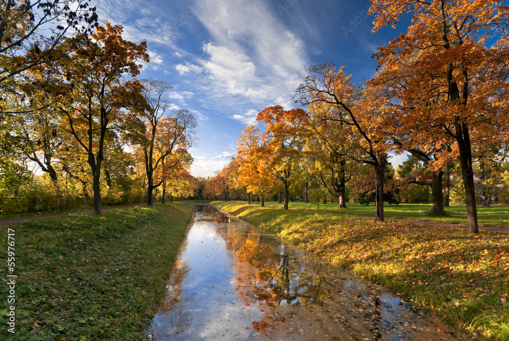 Canal in autumn park