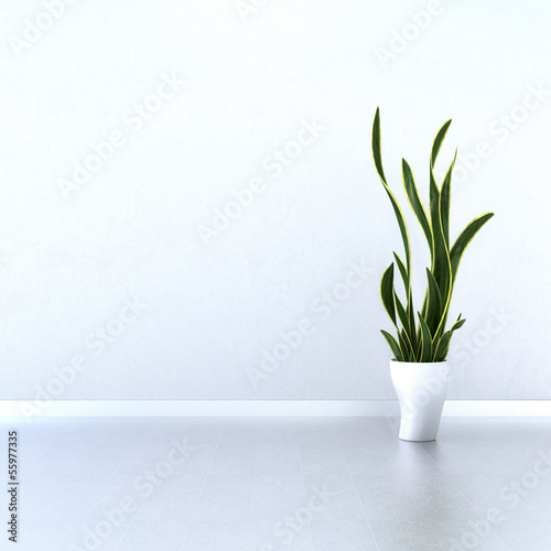 Fototapeta Naklejka Na Ścianę i Meble -  Weiße Wand mit grüner Topfpflanze
