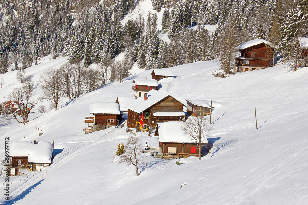 Winter in alps