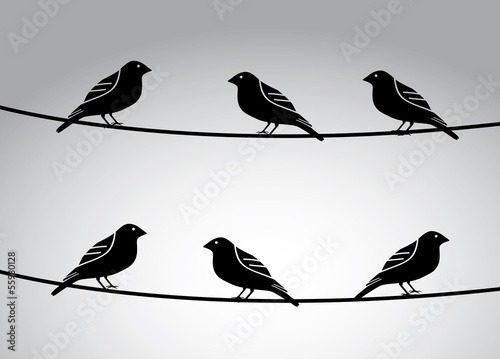birds icons