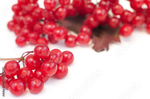 red berries