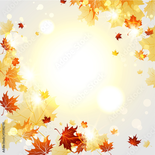 Bright autumn  background  with maple leaves