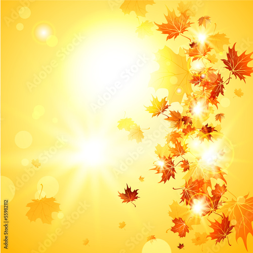Beautiful fall background with falling leaves