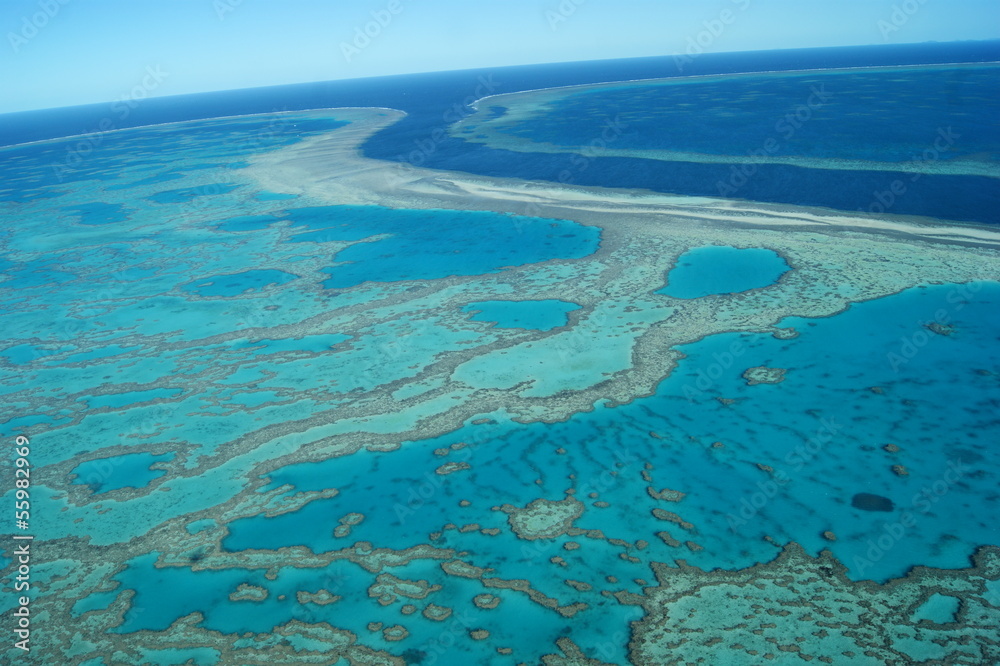 Fototapeta premium grande barrière de corail