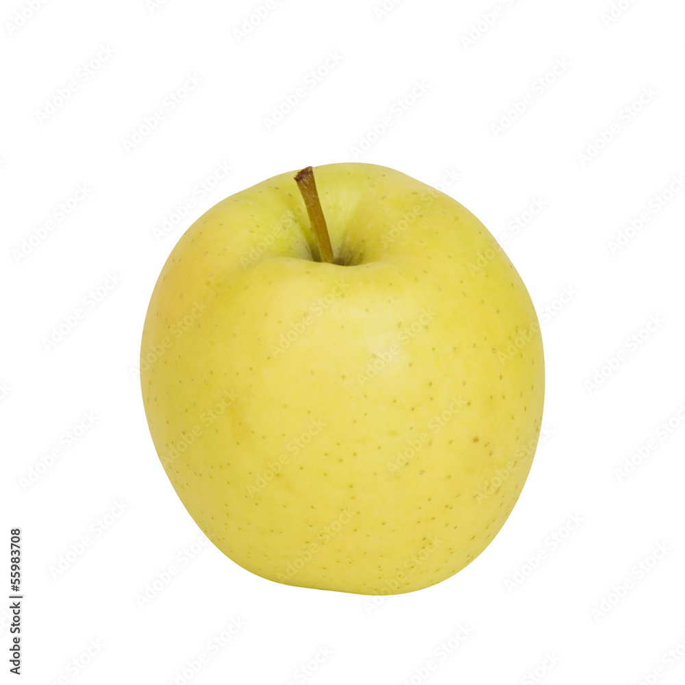 Golden apple isolated