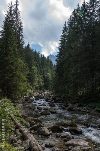 Bielovodska Valley in Tatry Mountains