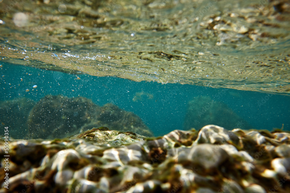 underwater rock background