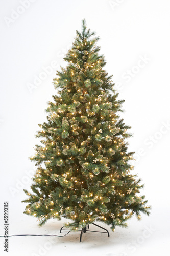 Christmas tree photo