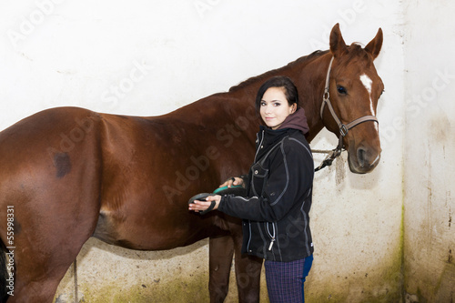Fototapeta Naklejka Na Ścianę i Meble -  equestrian combing the horse