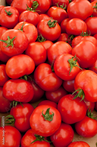 Tomaten