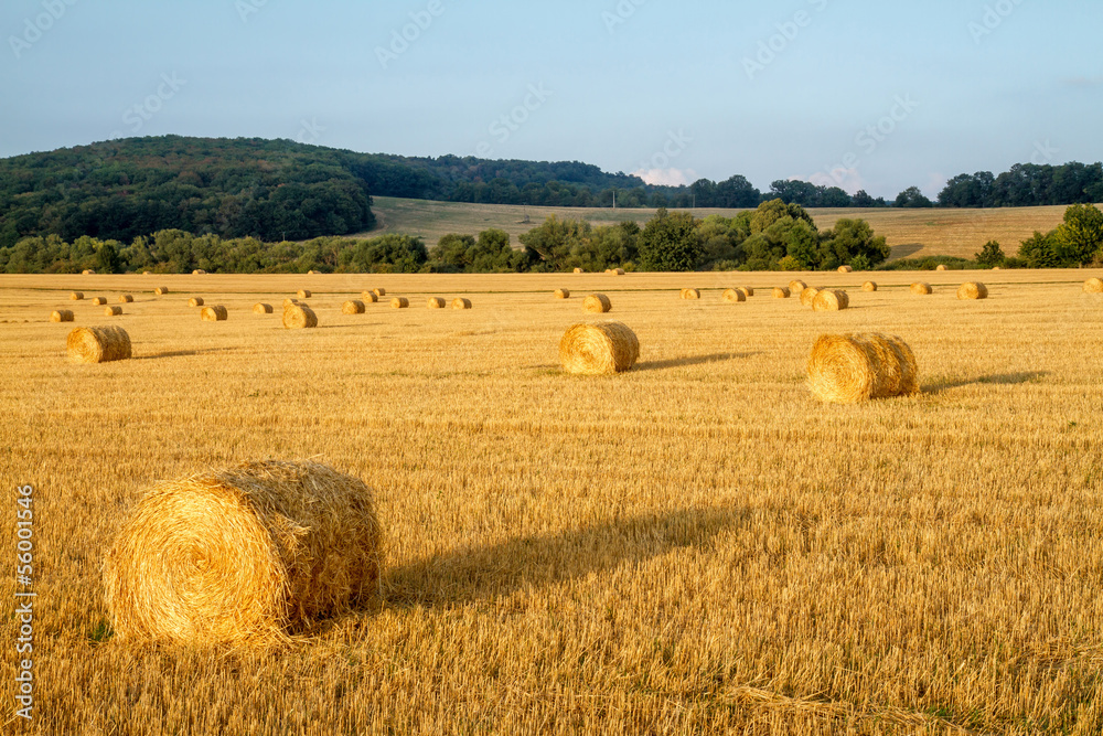 Straw bales