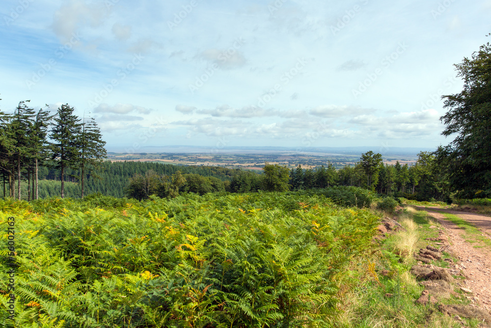 View from  Quantock Hills Somerset towards Bristol Channel