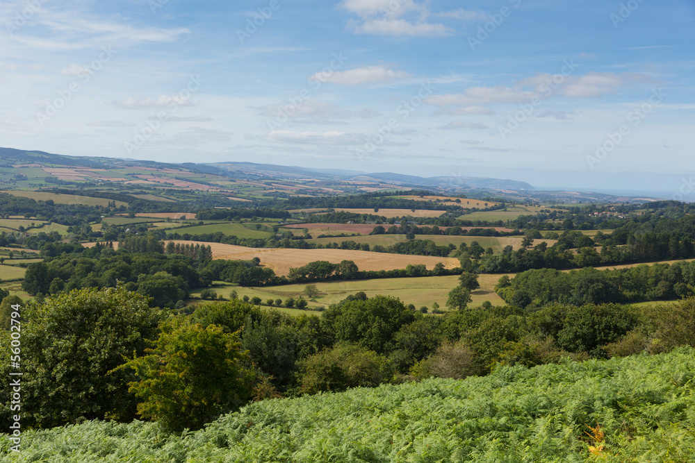 View from Quantocks Somerset England of English fields