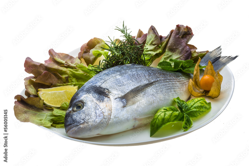 Fresh raw dorada