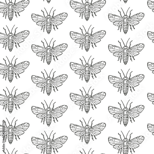 Seamless pattern with flies