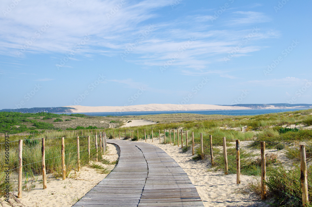 La dune du Pilat en Gironde. Protection du littoral La dune du Pilat en Gironde. Protection du littoral