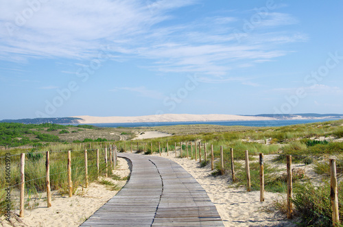La dune du Pilat en Gironde. Protection du littoral photo
