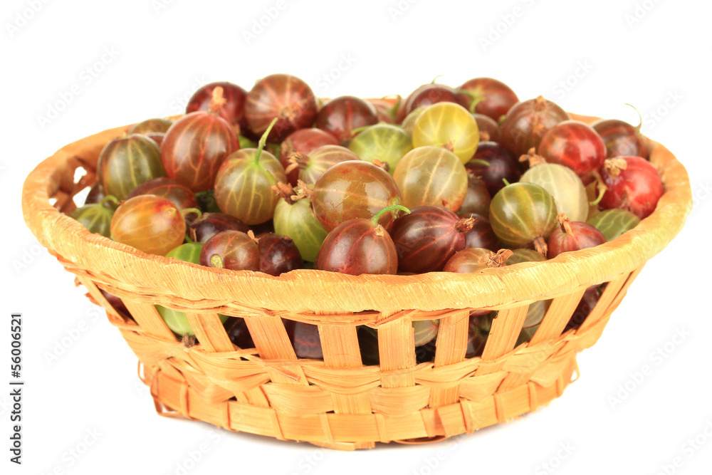 Fresh gooseberries in wicker basket isolated on white Fresh gooseberries in wicker basket isolated on white