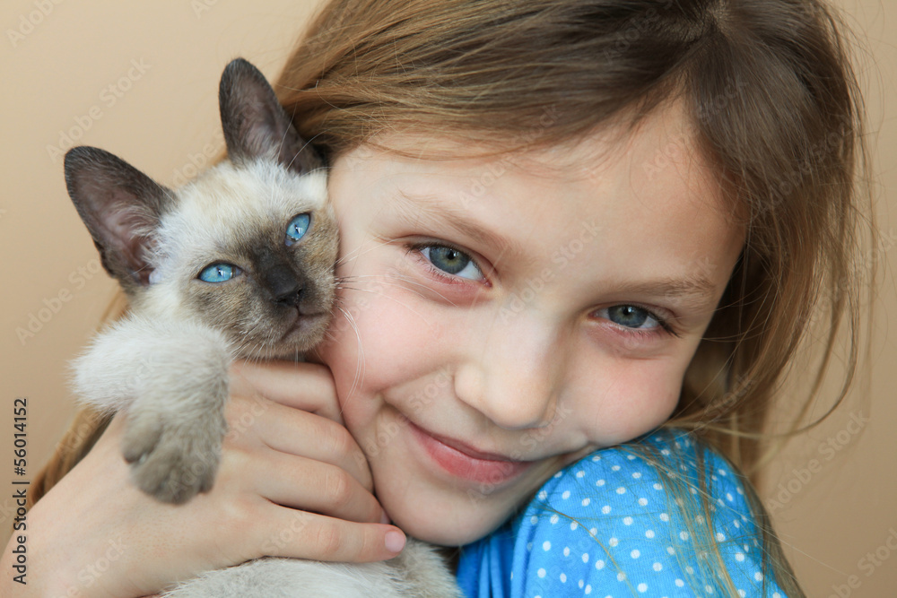 closeup portrait of little girl with siamese kitten on plane background closeup portrait of little girl with siamese kitten on plane background