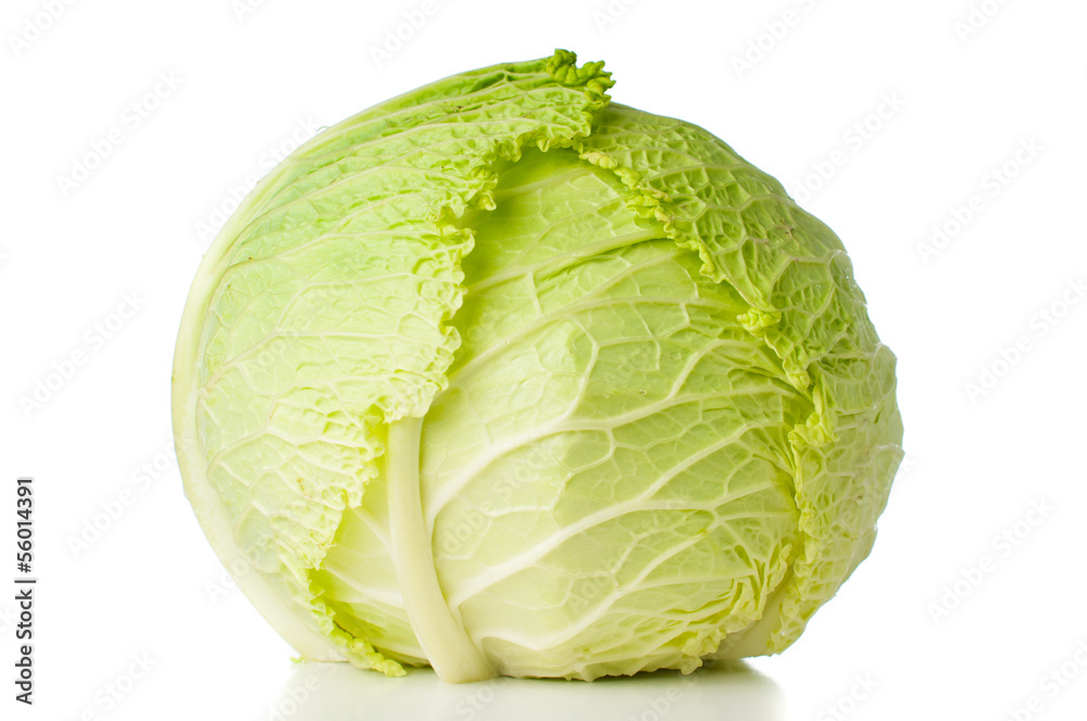 head of fresh savoy cabbage head of fresh savoy cabbage
