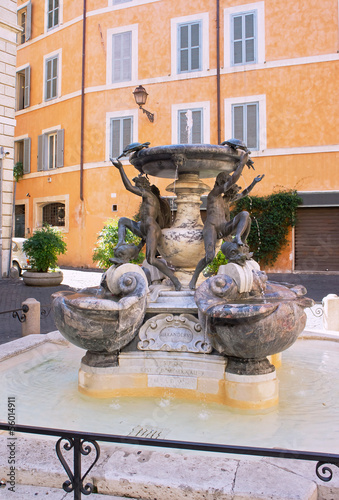 The turtle fountain - Rome Italy