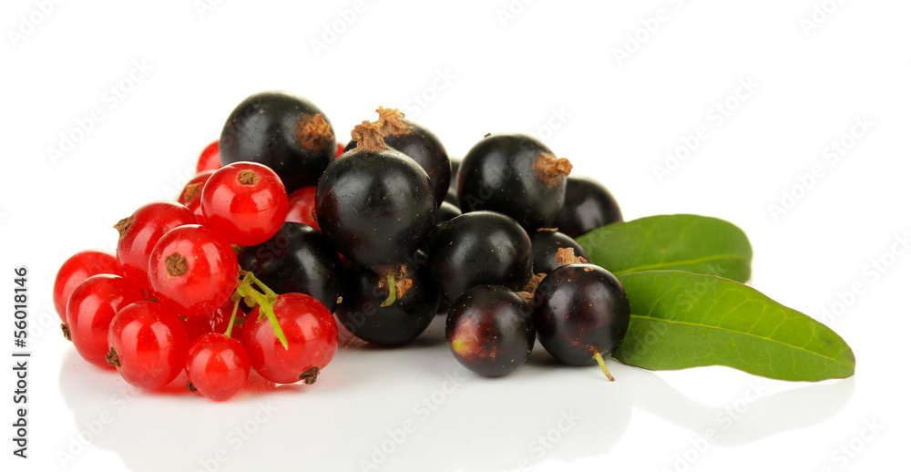Red and black currant isolated on white Red and black currant isolated on white