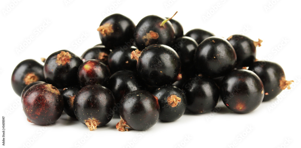 Black currant isolated on white Black currant isolated on white