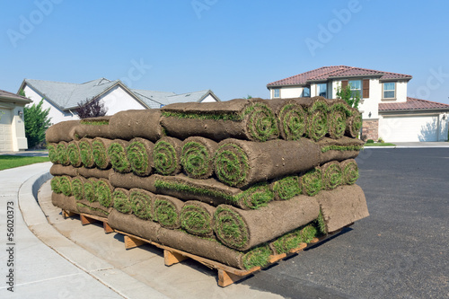 stacks of sod rolls