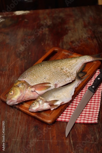  common bream photo