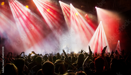 Crowd at concert