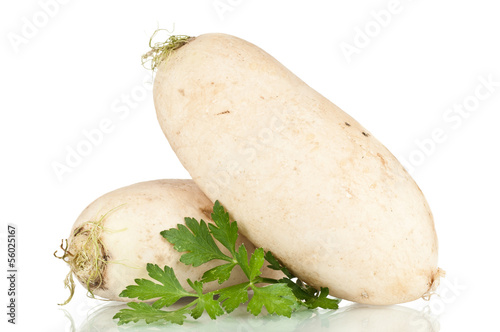 Turnip over a white reflective background