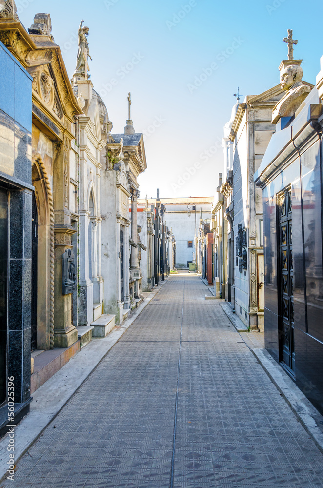Fototapeta premium Recoleta Cemetery View