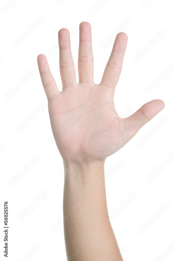 hand sign posture number five isolated hand sign posture number five isolated