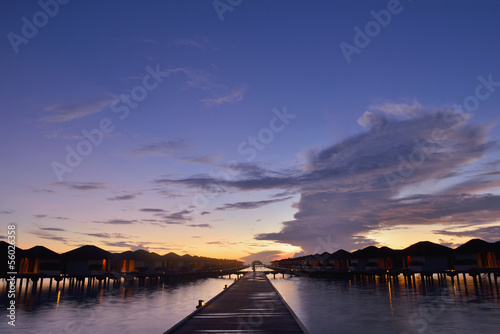 tropical beach landscape