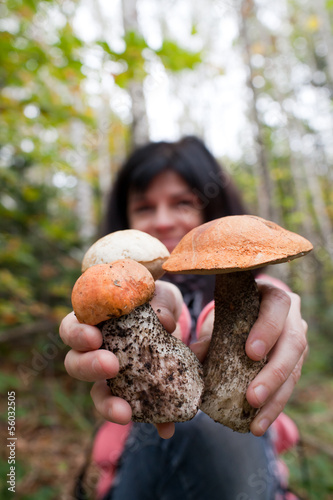Mushrooms in hands