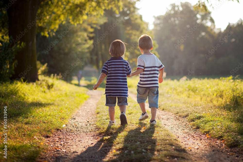 Obraz premium Two boys, walking in a park