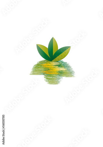 Pflanze