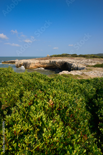 costa garganica - Gargano - Puglia - Italy photo