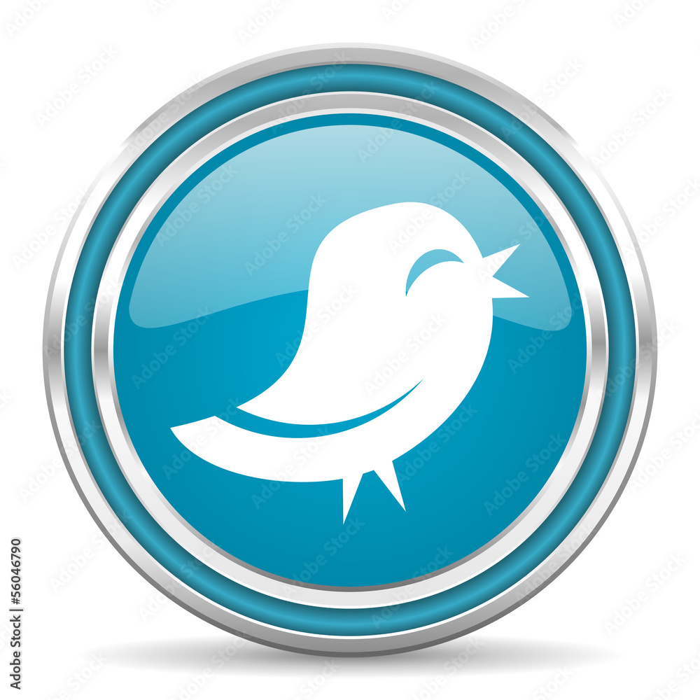 Obraz premium twitter icon