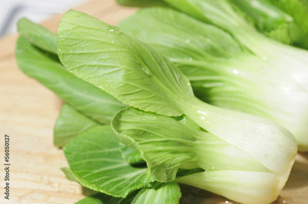 Close-up fresh Lettuce Close-up fresh Lettuce