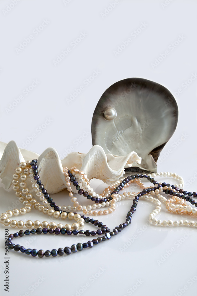 Naklejka premium Shells and pearls
